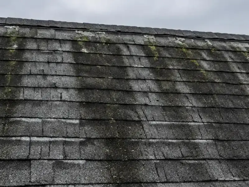 Asphalt shingle roof with black algae streaks in Barrington, IL